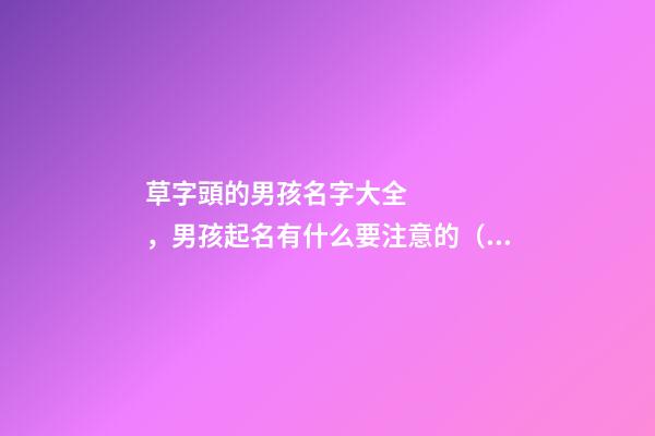 草字頭的男孩名字大全，男孩起名有什么要注意的（草字頭的男孩名字大全,男孩起名有什么要注意的嗎）